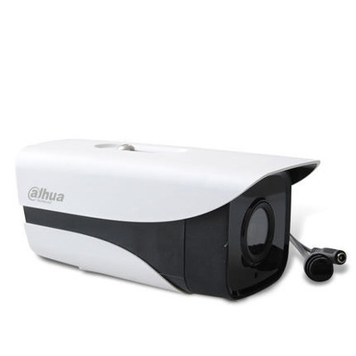 大华 高清200万1080P网络双灯防水监控摄像机